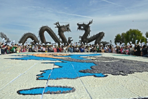 사람 잡는 '세균 김밥'?…전북 김제 축제 방문객 300명, 집단 구토·설사 증상