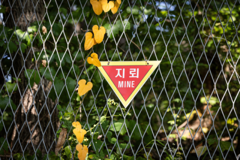 DMZ 지뢰 폭발 두고 남북 정면충돌…