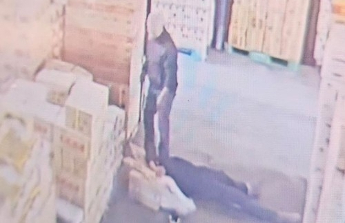 연합뉴스