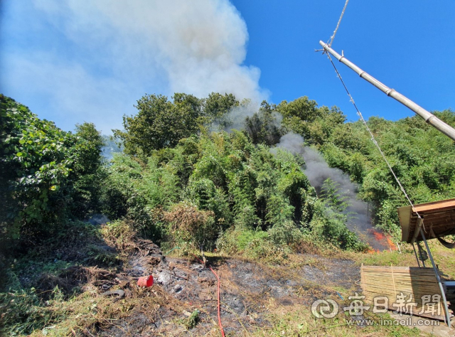9일 오전 11시 46분쯤 울진군 기성면의 한 야산에서 불이나 하얀 연기가 번지고 있다.경북도소방본부 제공