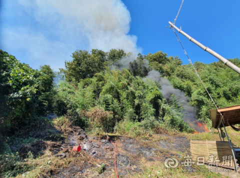 울진 기성면 야산에서 산불 발생