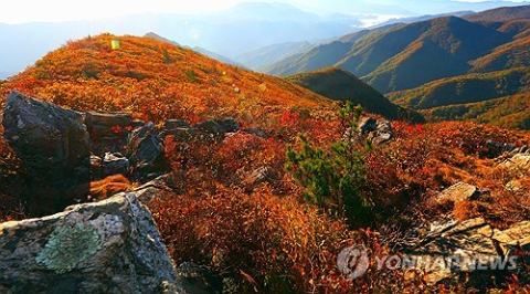 설악산 단풍에 2만명 몰린 한글날…비선대·봉정암서 사고도