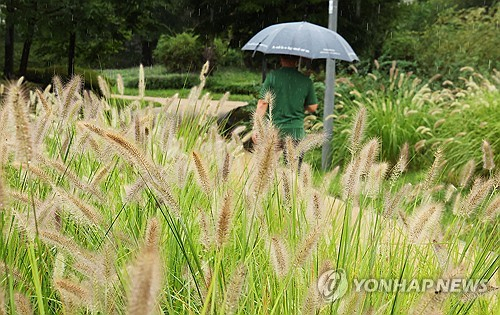 한글날 연휴 마지막 날인 11일 전국 내륙을 중심으로 소나기가 예보된 가운데 우산을 쓴 시민이 공원을 걷고 있다. 연합뉴스