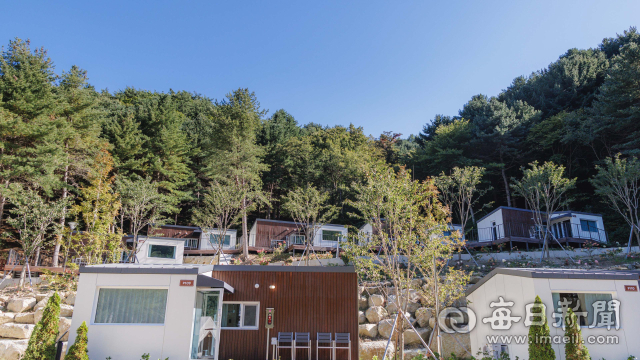 황매산 잣나무숲 야영장 캐빈하우스. 비탈을 따라 들어선 캐빈하우스가 울창한 숲을 배경으로 자리하고 있다. 합천군 제공