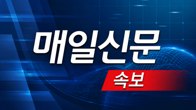 매일신문 속보