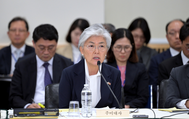 강경화 주미한국대사가 12일(현지시간) 워싱턴DC 주미한국대사관에서 열린 국회 외교통일위원회 국정감사에서 발언하고 있다. 연합뉴스