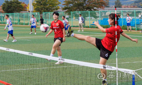 '발끝 승부' 합천을 달궜다… 80개 팀 족구 열전
