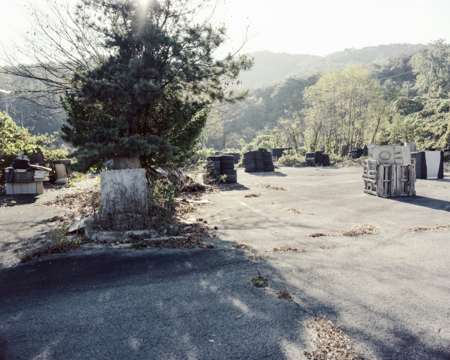 박경미 작.