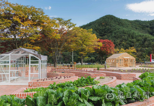합천 기억채움농장 전경. 붉은 벽돌로 쌓은 원형틀밭에 채소가 자라고, 뒤편으로 온실이 보인다. 합천군 제공