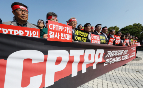 CPTPP 원점 재검토에 한숨 돌린 경북 농업…품목별 대응책은 '공백'