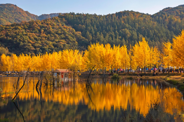 충청 괴산 문광저수지. 클립아트코리아 제공