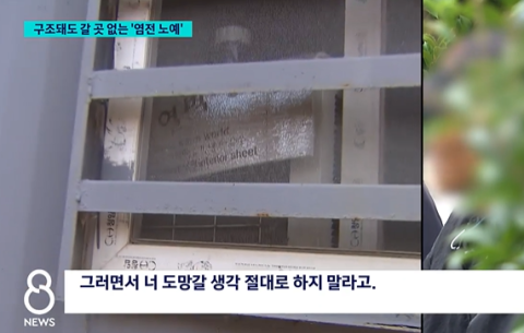 어떤 세상인데 아직도 염전 노예…