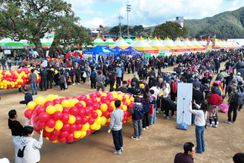 청송사과축제 온라인 방문객 224만명 돌파…개막 전부터 열기 후끈