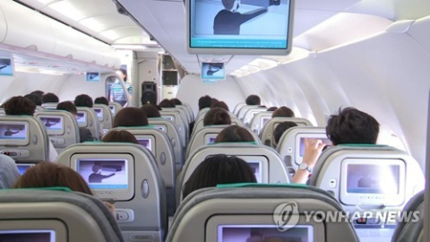 JAL 계열 일본에어커뮤터 항공기서 줄무늬뱀 발견…후쿠오카발 가고시마행 결항