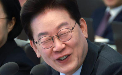 李, 제미나이에 자문 