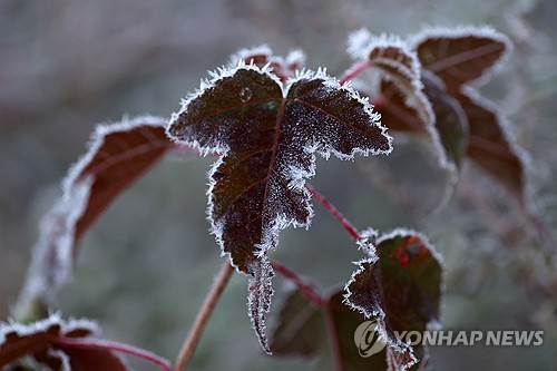 22일 강원 인제군 남면 갑둔리 일명 