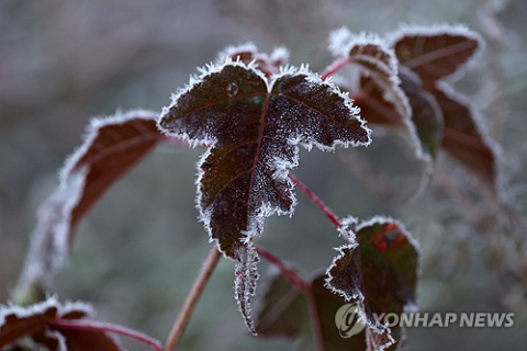 설악산 영하 6.6도·북춘천 첫서리…올가을 가장 추운 아침