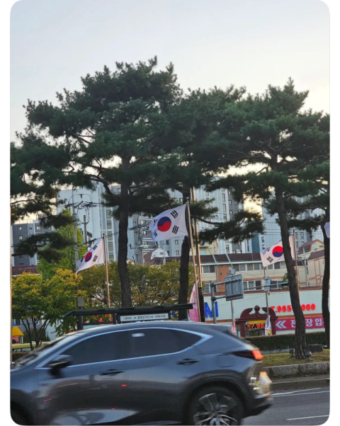 대구 동구 반야월삼거리 태극기 거꾸로 게양…구청, 인지 하루 만에 조치