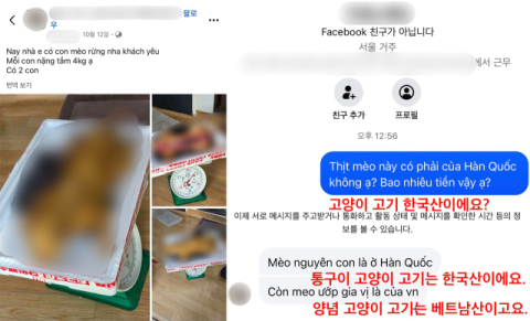 페이스북 베트남인 그룹에 고양이 고기 판매글…사체 사진도 버젓이