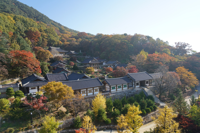 부석사 전경. 영주시 제공