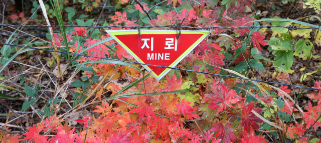 北, 2년간 DMZ에 묻은 지뢰만 96만발이었다