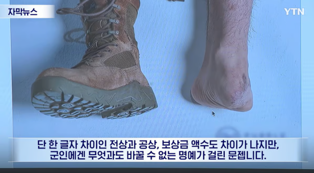 YTN 보도화면 캡처
