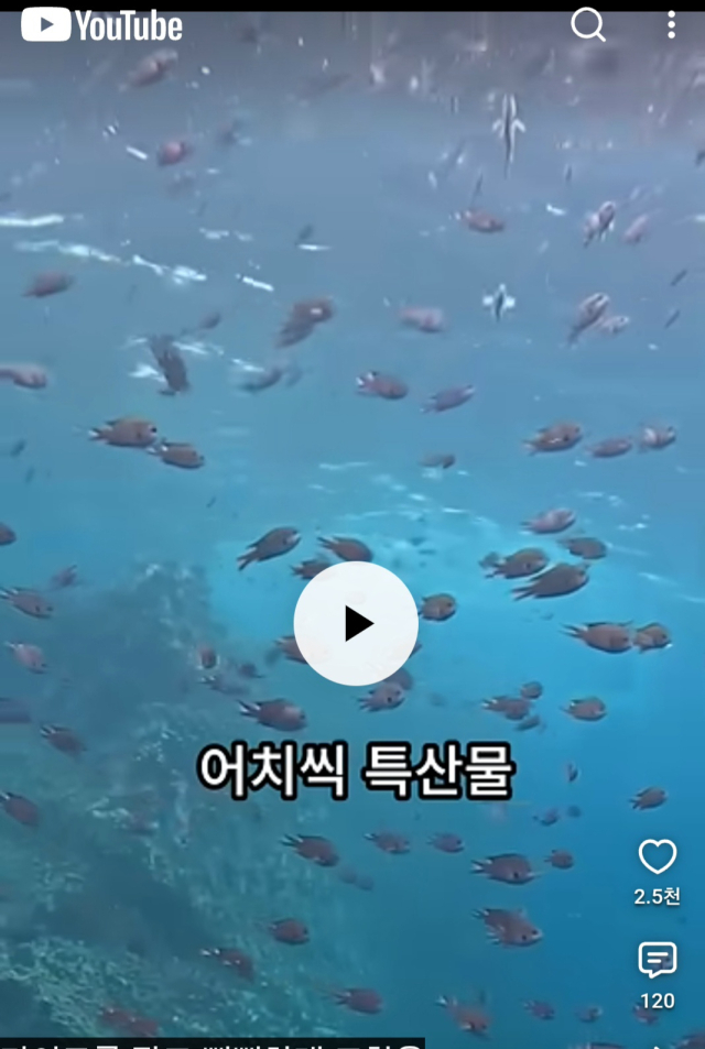 해당 유튜브 영상 캡처