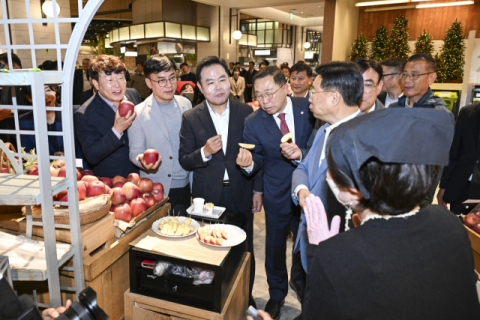 문경 감홍사과, 백화점서 한 개 2만5천원에도 '불티'… 어떤 맛이길래