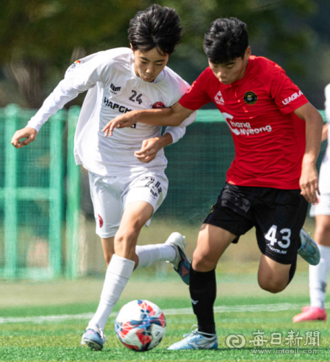 합천에 전국 고1 축구 40개 팀 모인다…승패보다 '가능성' 본다
