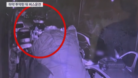 '마약 후 운전' 중국인 시내버스기사…함께 투약한 40대 등 3명 송치