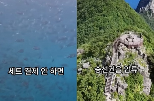 유튜브 영상 캡처
