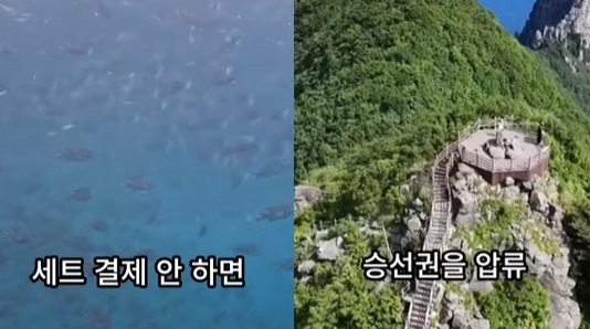 강매·감금·협박?…울릉도 가짜뉴스 봉변 어디까지