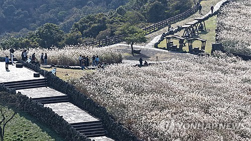 10월의 마지막 날인 31일 대구·경북 지역이 대체로 맑은 하늘을 보이는 가운데 경북 내륙을 중심으로 짙은 안개가 끼어 있다. 연합뉴스