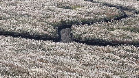 제주 31일 낮 최고 23도…밤부터 구름·일교차 10도 주의