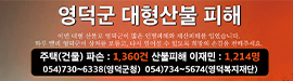 408영덕군