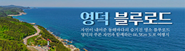 825영덕군