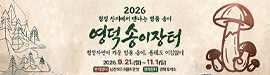 904영덕군